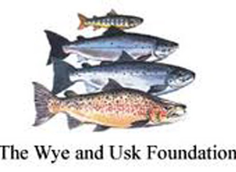 The Wye and Usk Foundation Logo