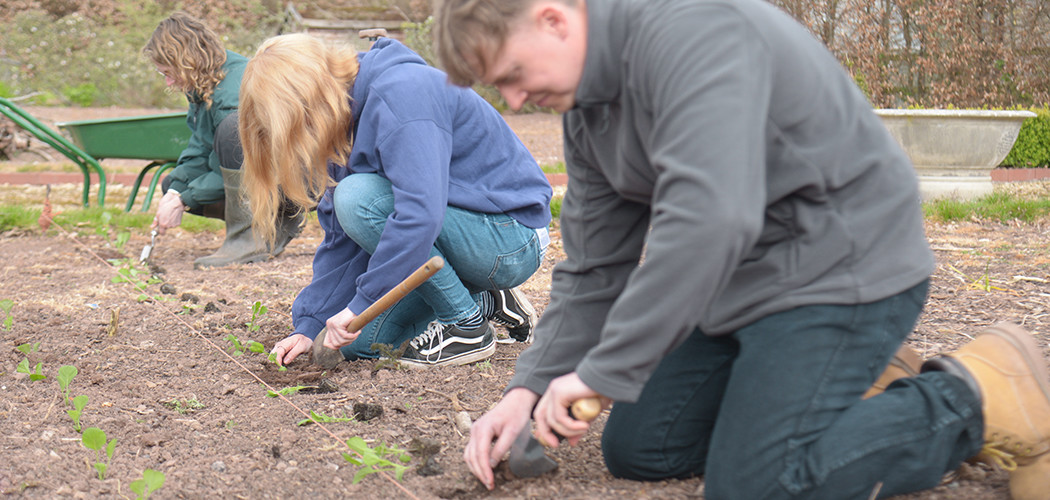 Students on Black Mountains College Regenerative Gardening Course