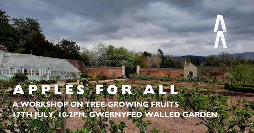 Gwernyfed walled garden apple workshop