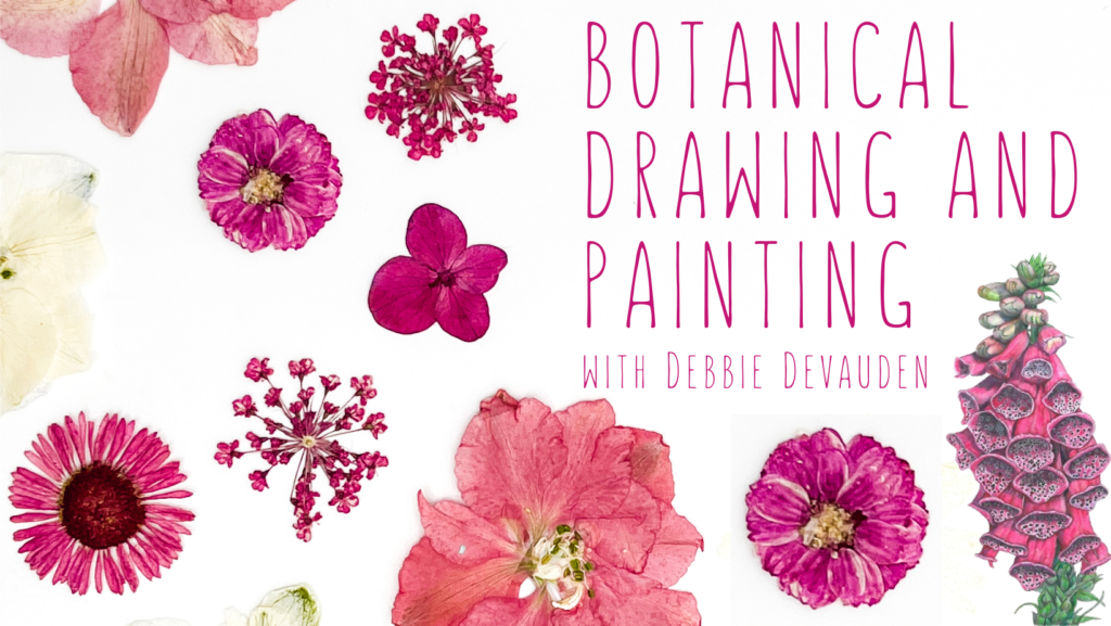 Botanical Drawing and Painting with Debbie Devauden