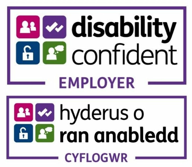 Disability Confident Employer logo English and Welsh