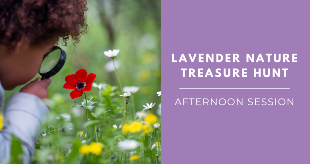 Lavender Nature Treasure Hunt - Afternoon session