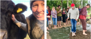 Images of people on the farm including with a cow and making cob