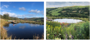 Views from FARMERS' including the outdoor pond