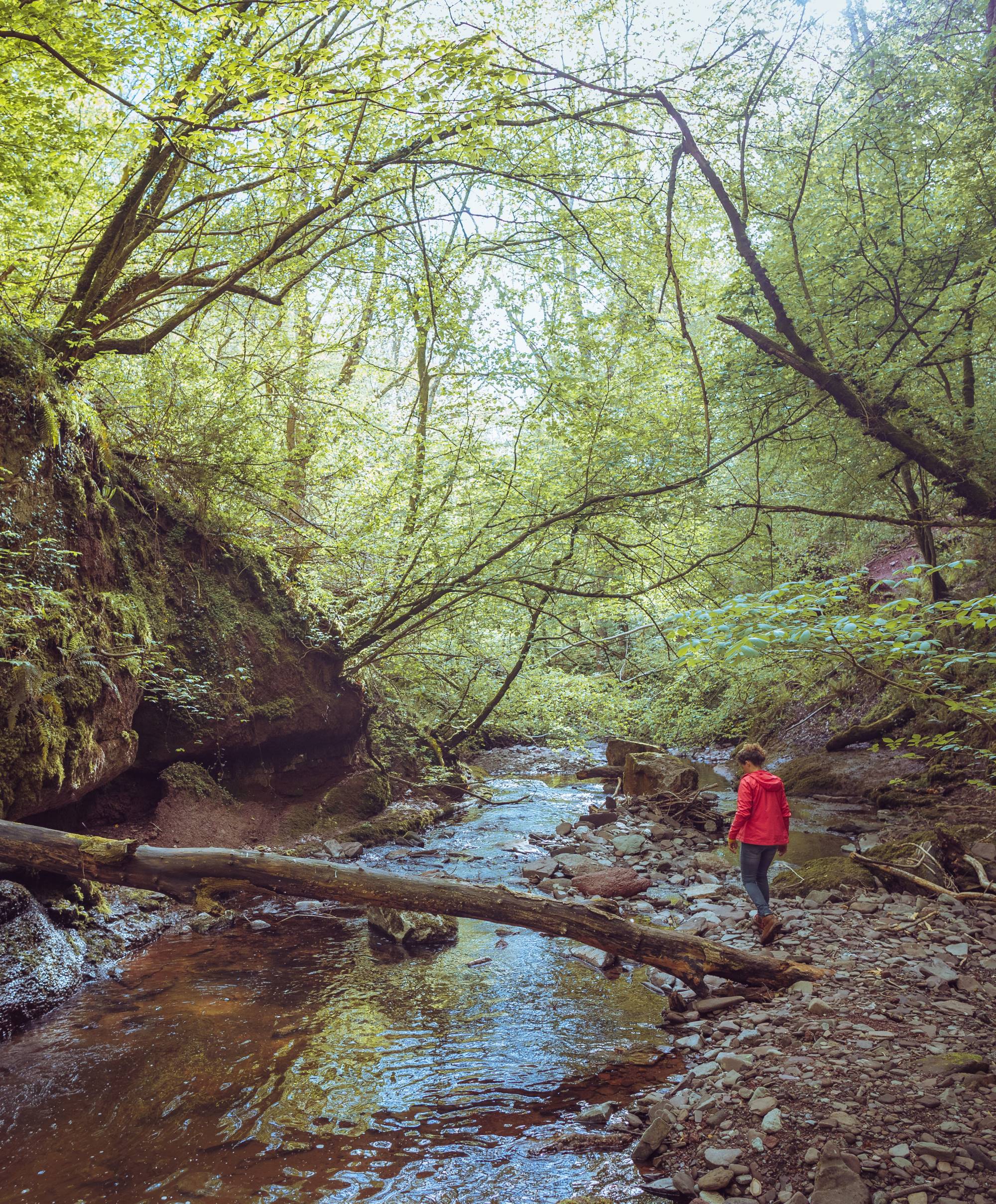 Educating the Ecological Imagination: The Work of Black Mountains College